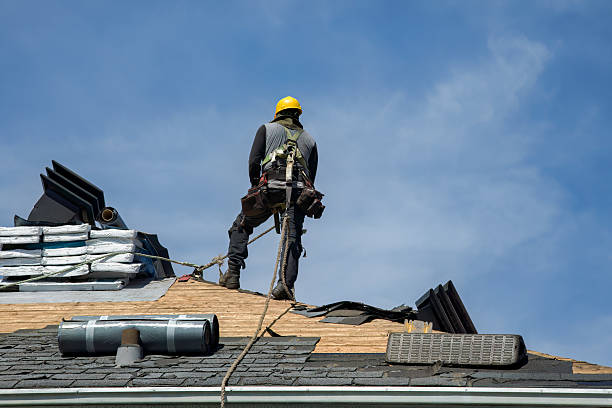 Professional Roofing technician working in Woodburn, KY